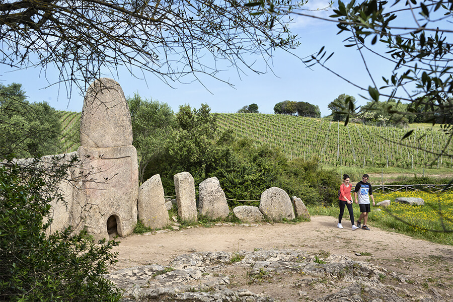 Tra nuraghi e Tombe dei Giganti: alla scoperta dell’altra Gallura Cala di Falco: Tombe dei Giganti di Coddu Ecchju