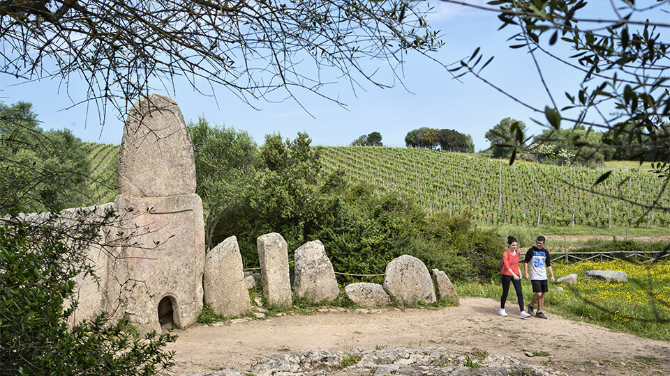 Tomba dei Giganti: Coddu Vecchiu, Arzachena