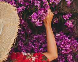 September and October at the Resort Cala di Falco: your event calendar