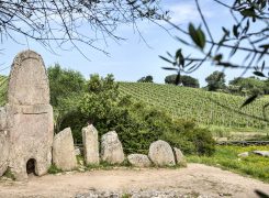 Nuraghi e Tombe dei giganti: i siti da non perdere vicino a Cannigione